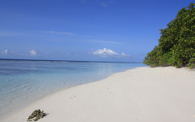 Boutique Beach All Inclusive Diving Hotel
