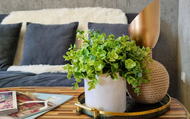 Апартаменты Рыжий Кот Норд