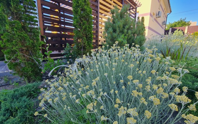 Abrau Soul&Spa Guest House
