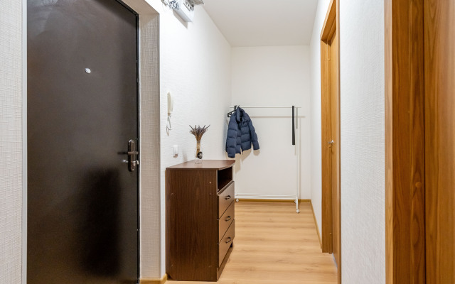 Квартира в Песочном НИИ Петрова