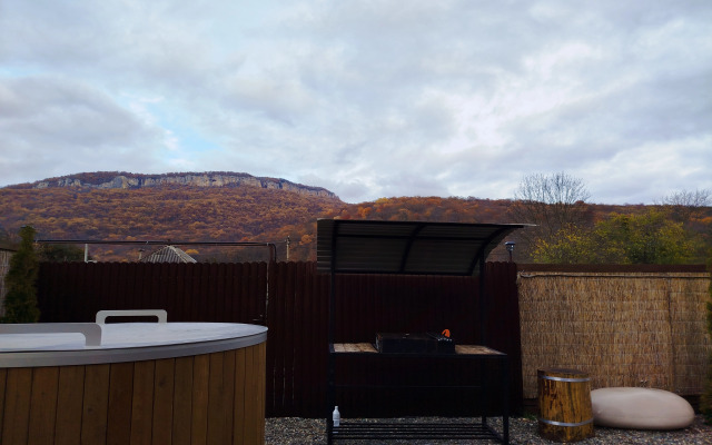 Частный дом Ёлки-Иголки