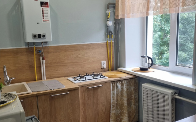 Апартаменты Квартира на Рогатице