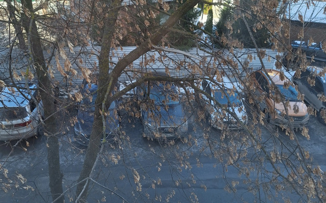 Na Dostoyevskogo Flat