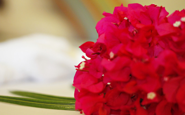 Aya Beach Bungalows Hotel
