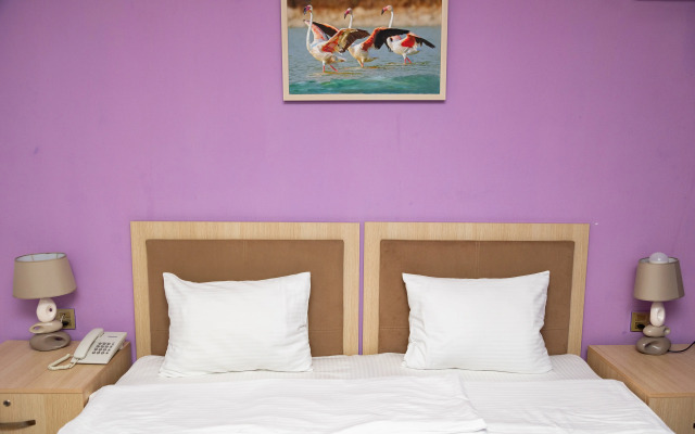Hotel Flamingo Baku