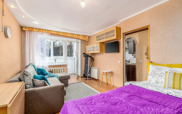 Квартира Уютная однушка в Центре