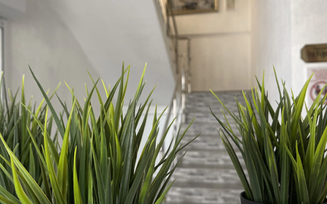 Briz 55 Guest house