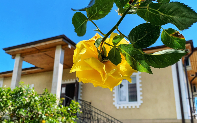 Divny Sad Guest House