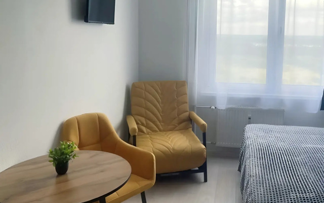 Апартаменты Серый Гусь