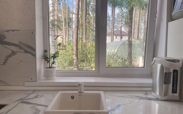 Частный дом VIP с собственным лесом