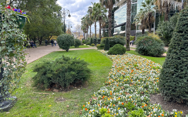 Апартаменты inSochi Resort Apartments