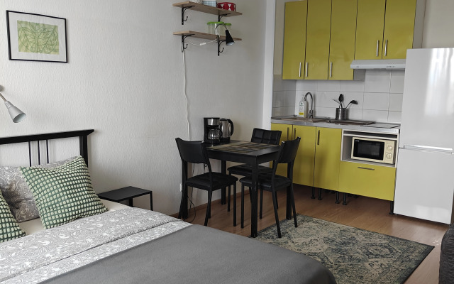 Студия Green метро Ладожская