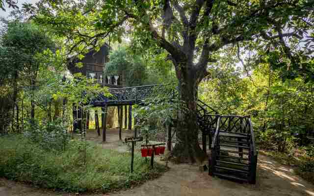 Жилое Помещение Pugdundee Safaris - Tree House Hideway