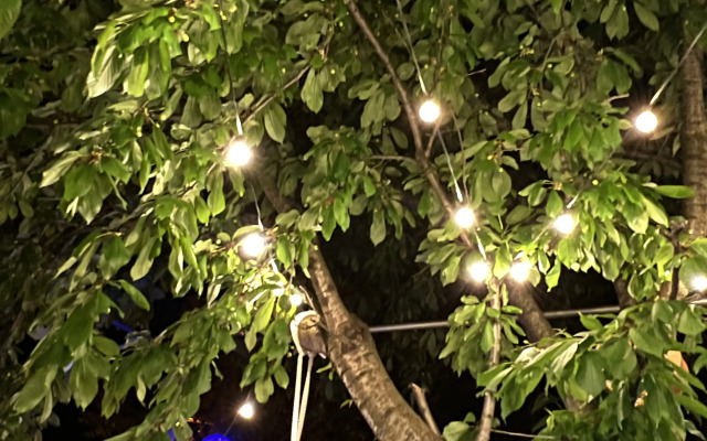 Aldair Guest house