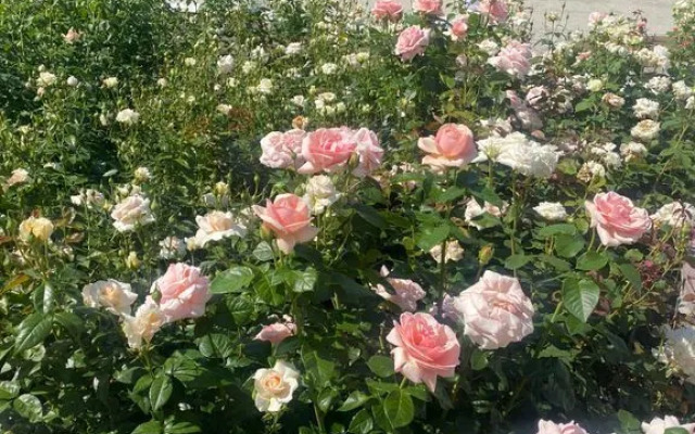 Частный дом дуплекс с красивым видом