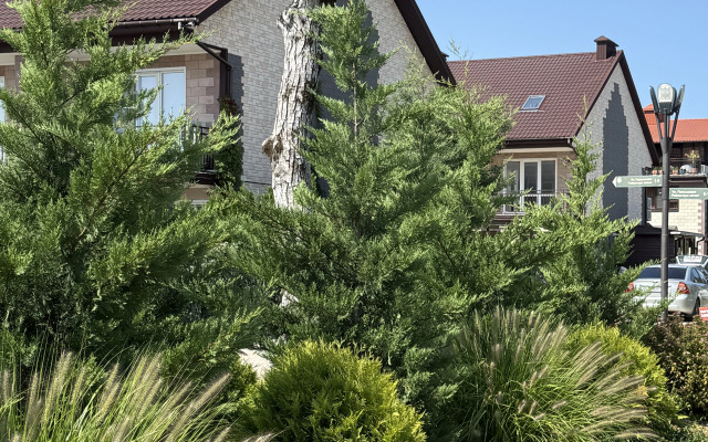 Taunkhaus U Morya Flat