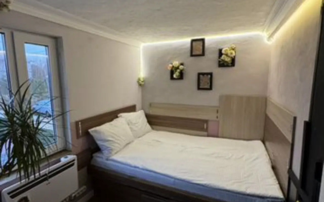 Oazis Kaluga Guest House