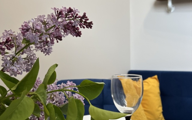 Апартаменты Elven Studio у метро Электрозаводская