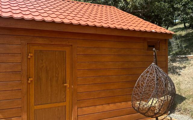 Частный дом Дубки 2