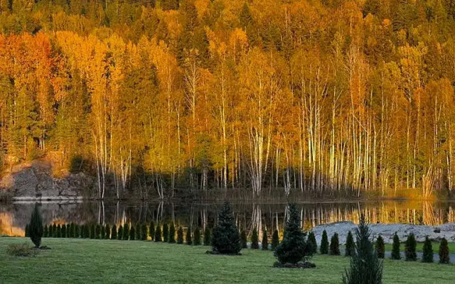 База отдыха Гора