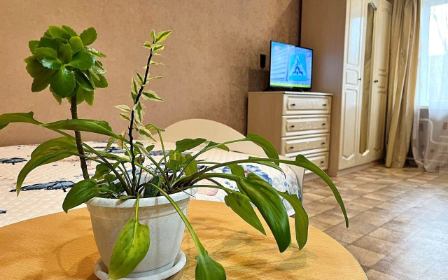 Квартира на Шубиных 3А