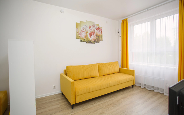 Uyutnaya Svetlaya Flat