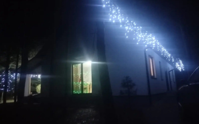 Premialny Semeyny Dom V Sosnovom Lesu Private house