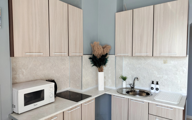 Квартира Видовая в центре города