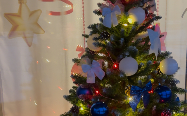 Частный дом Ковчег