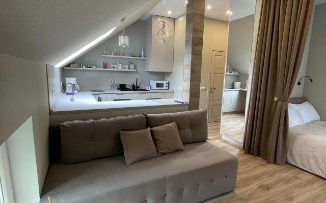 Апартаменты Студия Мельничный пруд