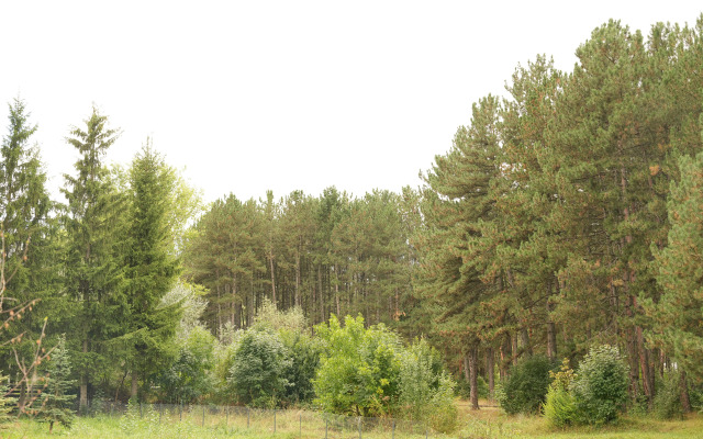 Hotel EcoLife Lodge & Restaurant