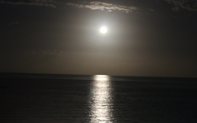 Бунгало Bamboo village on the beach