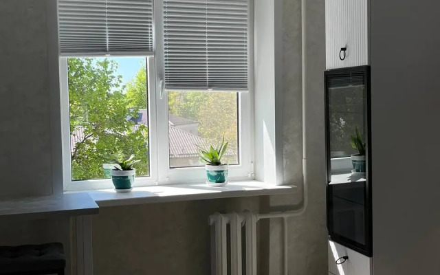 Viatur Na Dovatora Apartments