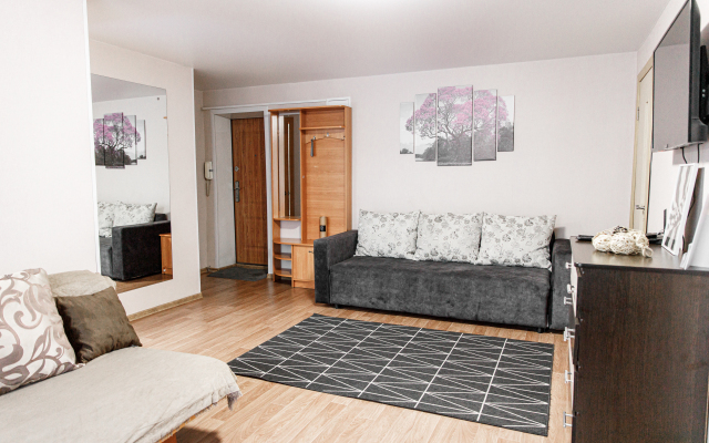 Апартаменты Двухкомнатные в центре города на Красноармейская 124