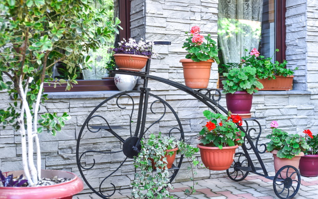 Sofiya Gruziya Kutaisi Ul, Zugdidskaya 17 Guest House