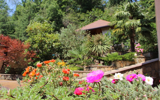 Гостевой дом Гринланд