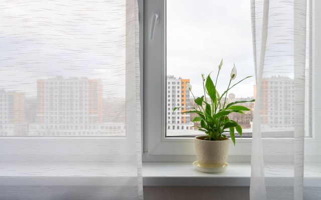 Scandi Style Apartments