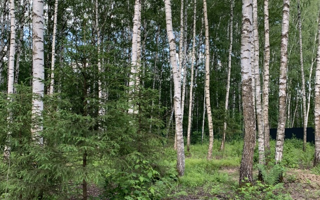 Частный дом A-фрейм в лесу Зеленого города