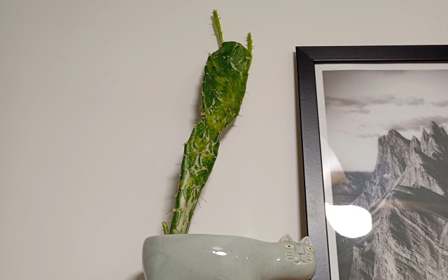 Апартаменты Дизайнерская студия для волшебных вечеров