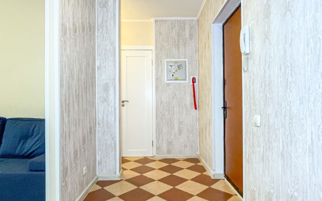 Odnokomnatnye na Guryanova 2/3 Apartments