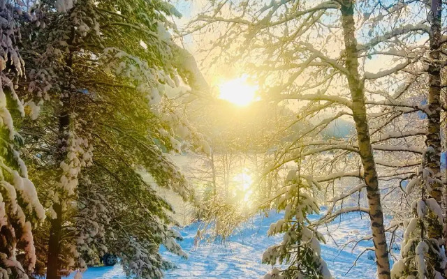 База отдыха Телецкое Золотое