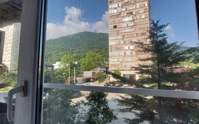 Dvukhkomnatnaya V Tsentre Gagry Flat