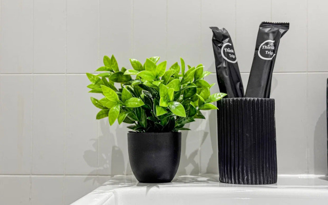 Апартаменты Алис Luxe Complex