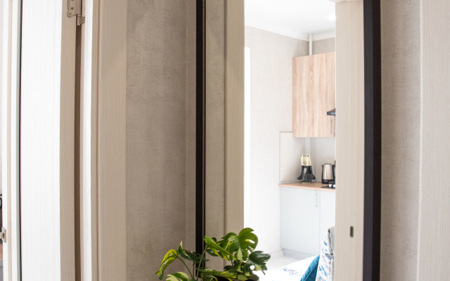 Квартира с новым ремонтом в центре города