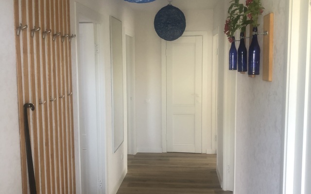 Апартаменты Чайка на Куршской косе