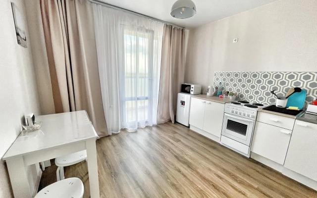 Квартира Елена Озерки