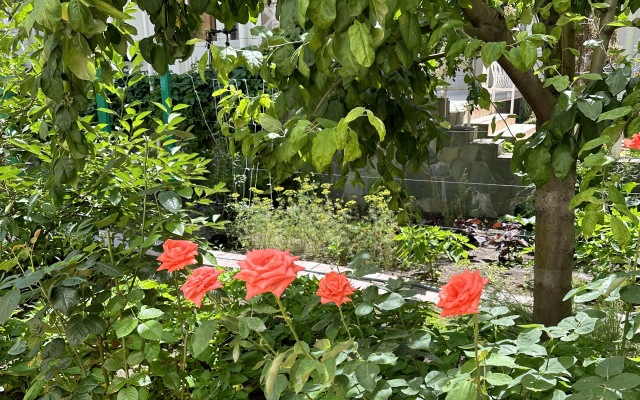Otdykh U Alexandra Guest House