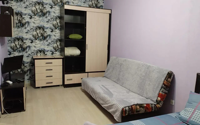 Квартира в микрорайоне Строителей 7/2