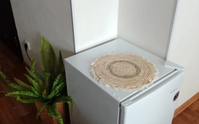 Квартира студия Уютно Всем в центре