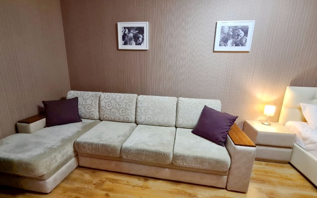 Апартаменты Dreamapart Вид на стадион Краснодар 2